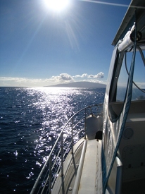 Diving around Maui